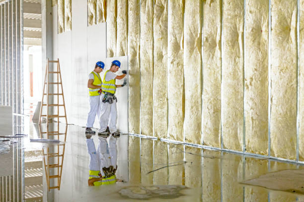 Best Commercial Insulation in Perry, KS